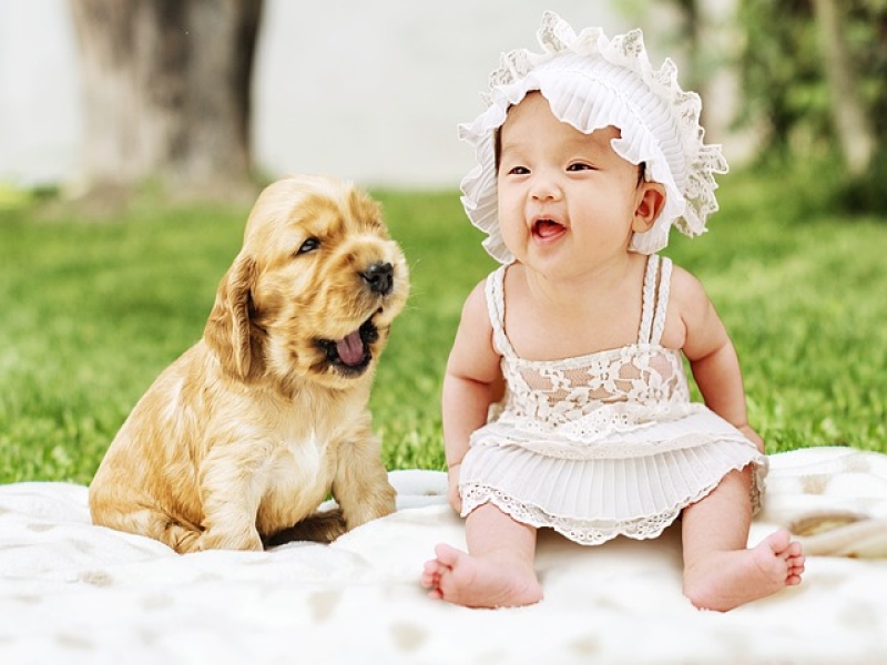 האם כלב ותינוק יכולים להסתדר? הטיפים של טופ אילוף יבטיחו הרמוניה בבית