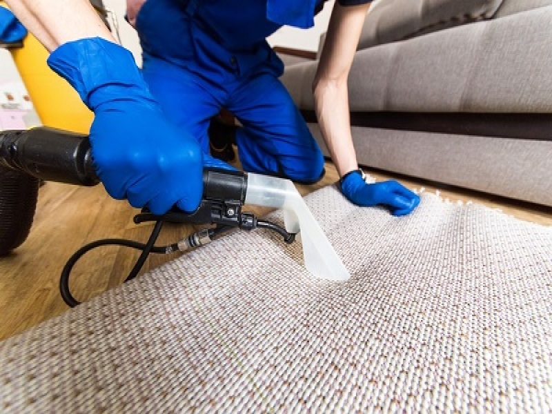 המדריך האולטימטיבי לניקוי שטיחים: טיפים, עשה, אל תעשה והחשיבות של שירותים מקצועיים