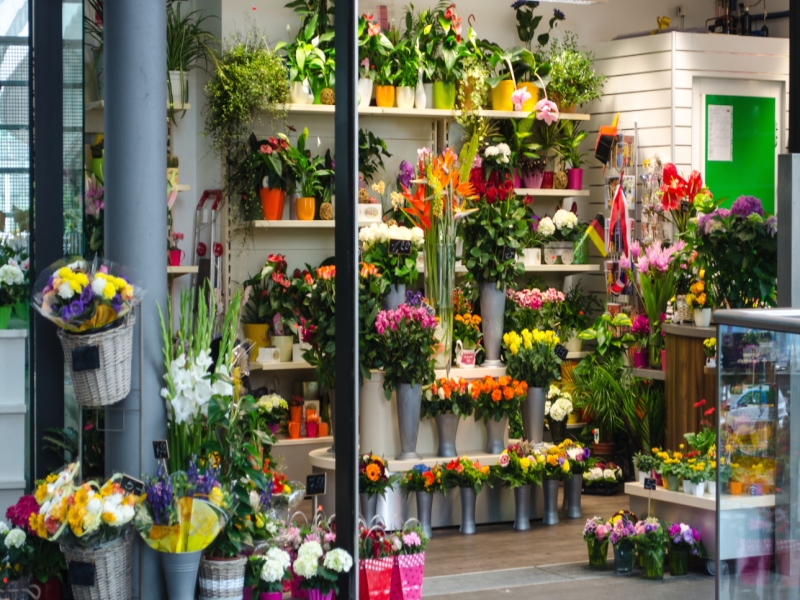 איך לבחור חנות פרחים בהרצליה?